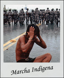 Marcha Indigena