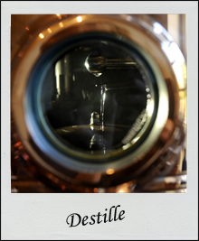 Destille